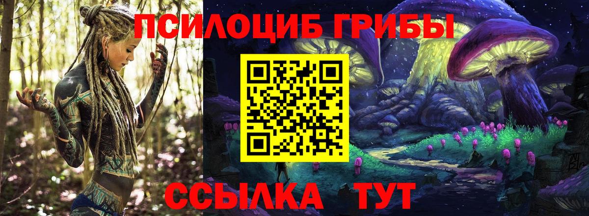 Псилоцибиновые грибы Psilocybine cubensis Белебей